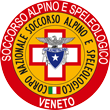 LOGO NEW BELLUNO 110